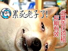 -醉胶东(友谊店)