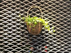 -粤色·老广州茶餐厅(河南商会大厦店)