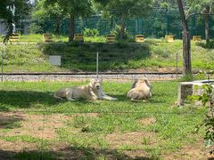 -秦皇岛野生动物园