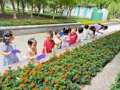 -惠洛克国际儿童之家(绿博园中心)