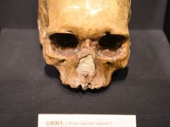 -北京周口店北京人遗址博物馆