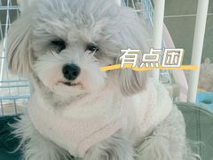 -萌兽医馆·眼科·异宠专科(三里屯店)