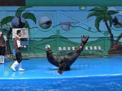 -石家庄极地海洋世界
