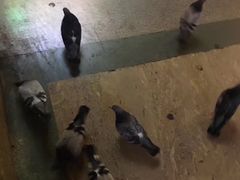 -米兰中央车站