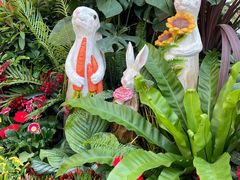 -深圳仙湖植物园