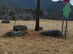 -千岛湖石林