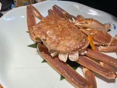 帝王蟹火锅-森味薪火烧•烧鸟居酒屋•日本料理(望京店)