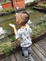 -星童star.kids儿童发型设计·满月胎发(玉兰花园店)