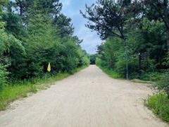 -渡海小渔村.老辈日照菜