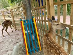 -水上乐园·欢乐世界