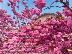 -旅顺留声机博物馆