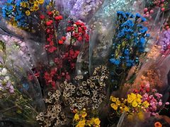 -越秀西湖花市(广州城市广场花卉店)
