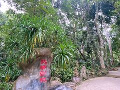 -中国科学院西双版纳热带植物园