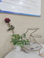 -碧莲盛·不剃发植发