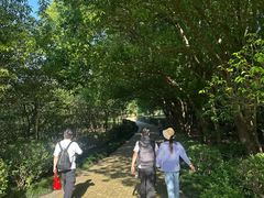 -同里国家湿地公园