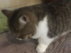 -小时光咖啡馆(开森度假森林店)