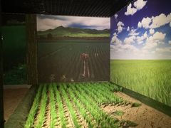 -新四军苏浙军区纪念馆