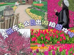 -秀丽东方