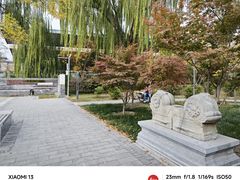 -莲花池公园