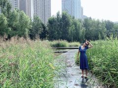 -长白岛森林公园