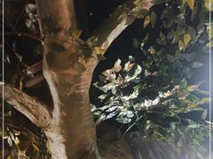 -活鱼馆(宜兴埠店)