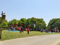 -梁鸿国家湿地公园