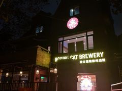 -Boxing Cat Brewery拳击猫精酿啤酒馆(永福店)