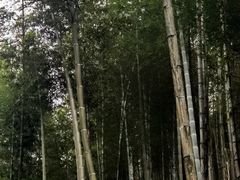 -萍乡武功山风景名胜区