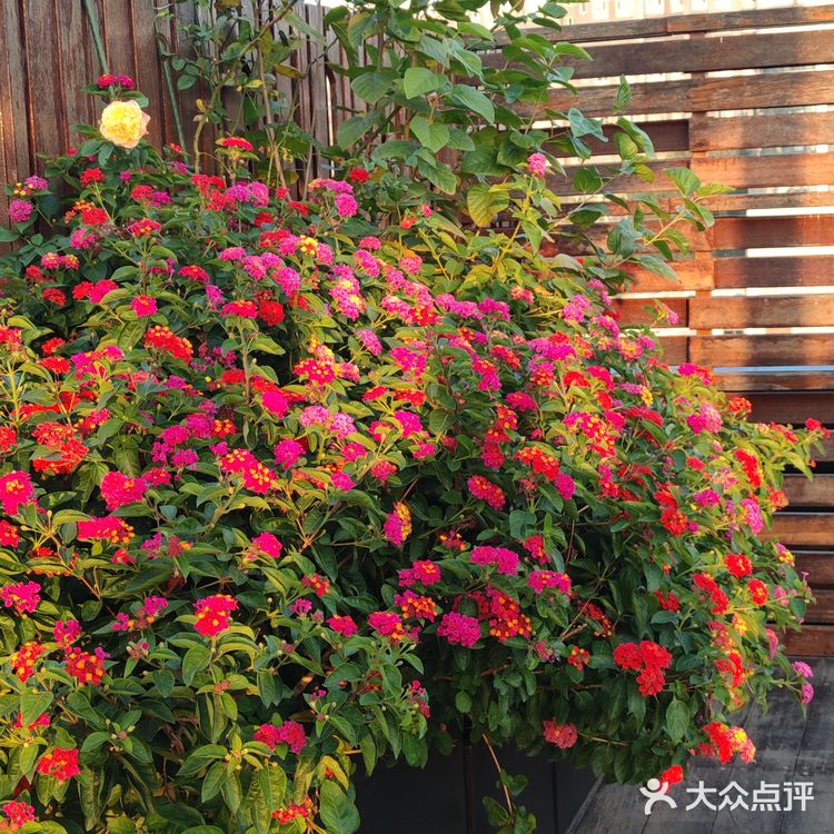 闹中取静的惬意小馆✨