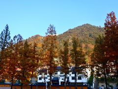-九华山风景区