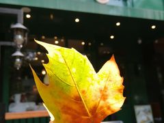 -Pie Bird(新闸路店)