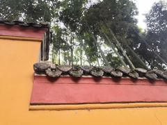 -高旻寺