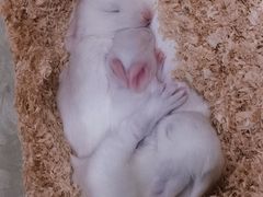 -上海大自然野生昆虫馆