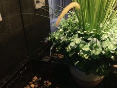 -新盈光·旗舰店(海曙苍松路店)
