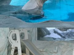 -珠海长隆海洋王国