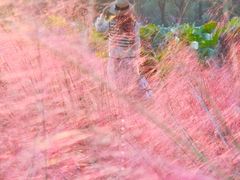 -艾溪湖湿地公园