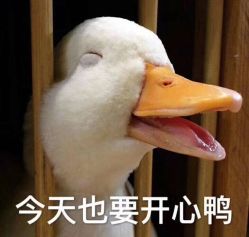 -时尚工厂·科学染发