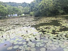 -野象谷景区