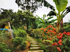 -园林美食城·本土农家菜(杨和镇店)