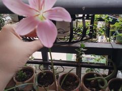 -龙湖重庆时代天街