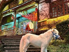 -巴倒烫陆派火锅山庄(南山总店)