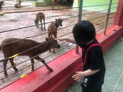 -荆州中山公园动物园