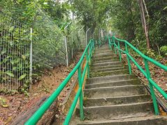 -东莞植物园