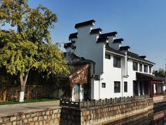 -上海共青森林公园