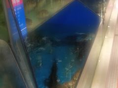 -兄弟爬爬虾(北京路店)