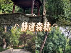 -北极阁公园
