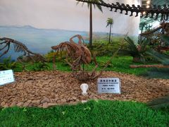 -嘉荫恐龙国家地质公园