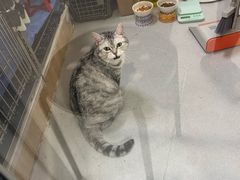 -谐和益家动物医院·免疫绝育·血液透析·宠保定点医院(高新伊藤分院)