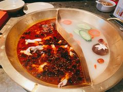 红白鸳鸯锅-小龙坎火锅(湖滨银泰in77店)