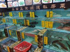 水产区-有腥气私房菜·寻味顺德